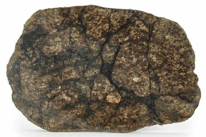 Chondrite Meteorite ( g) Slice with Shock Veins - Morocco #227979